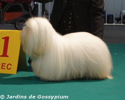 CH. Esteban Des Jardins de Gossypium